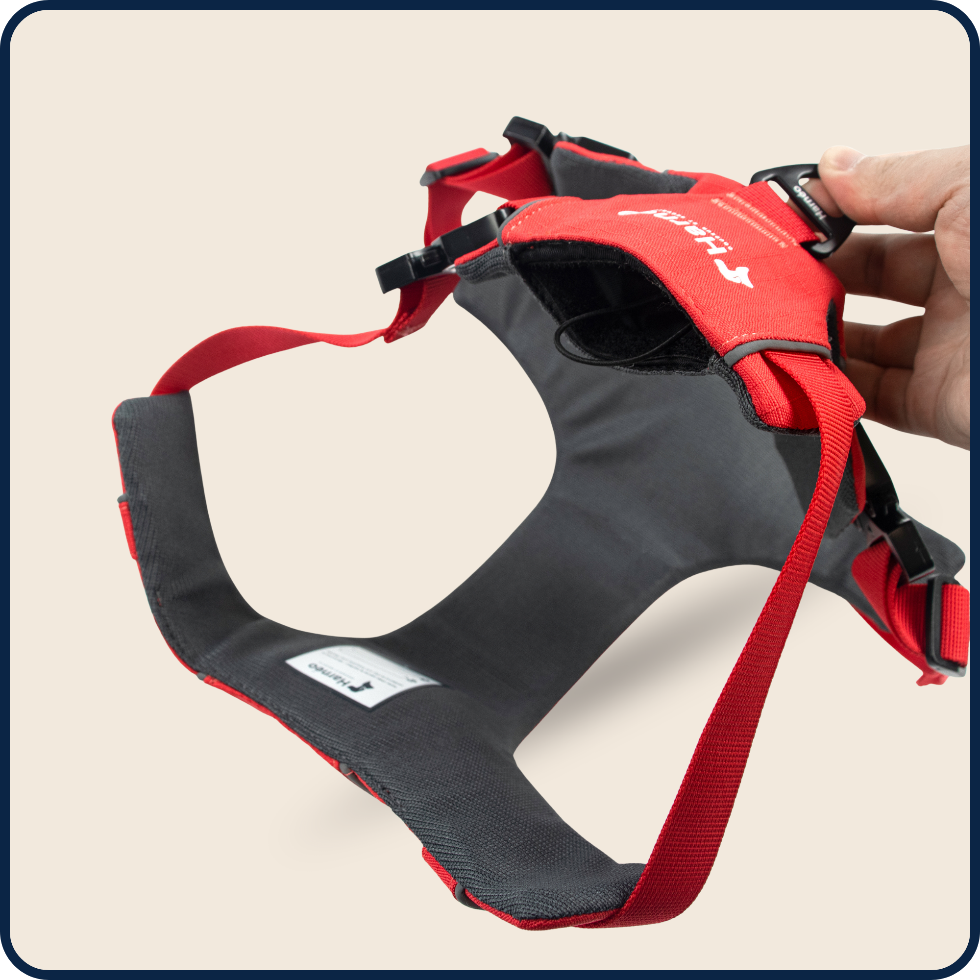 Harnais Anti-Traction Équinoxe