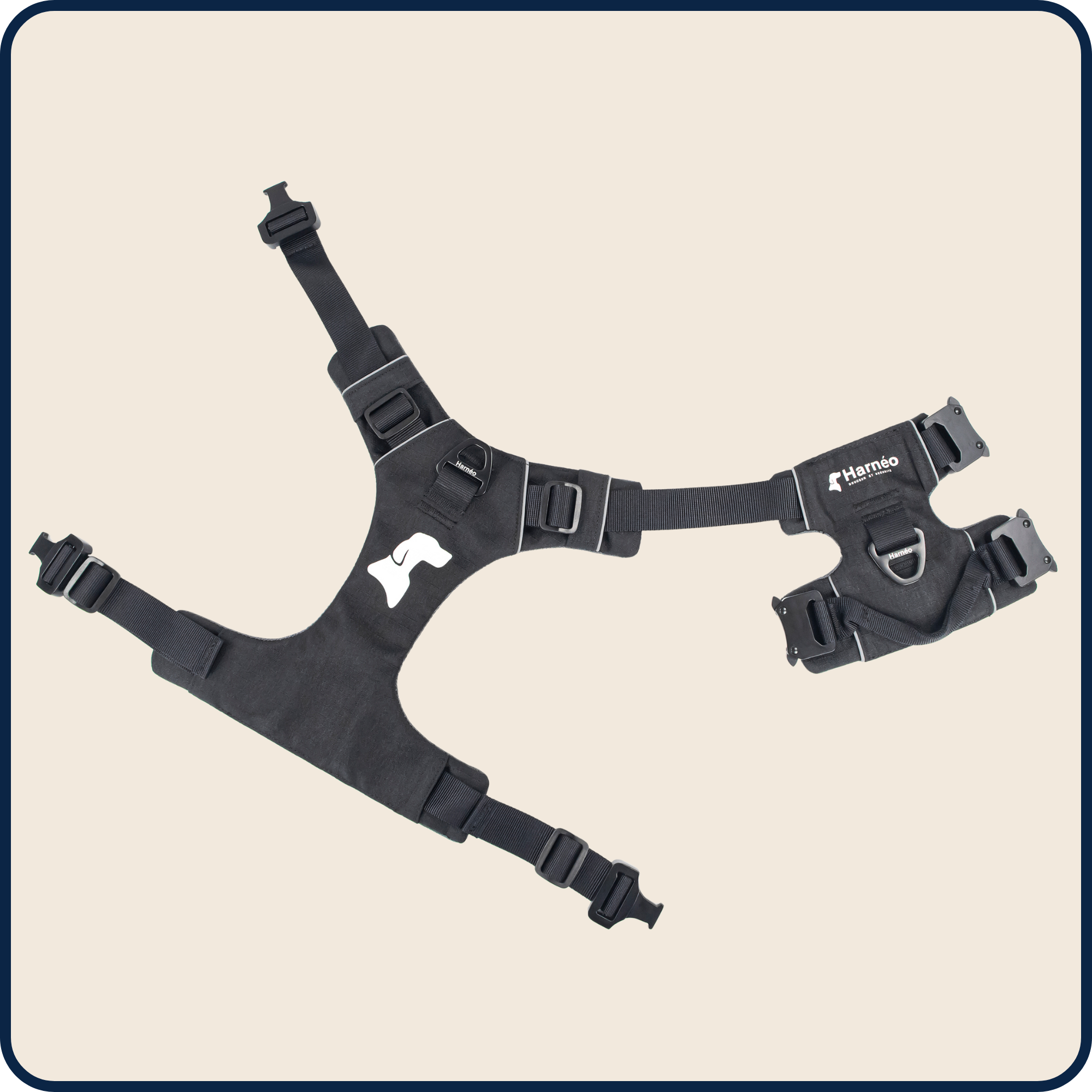 Harnais Anti-Traction Équinoxe