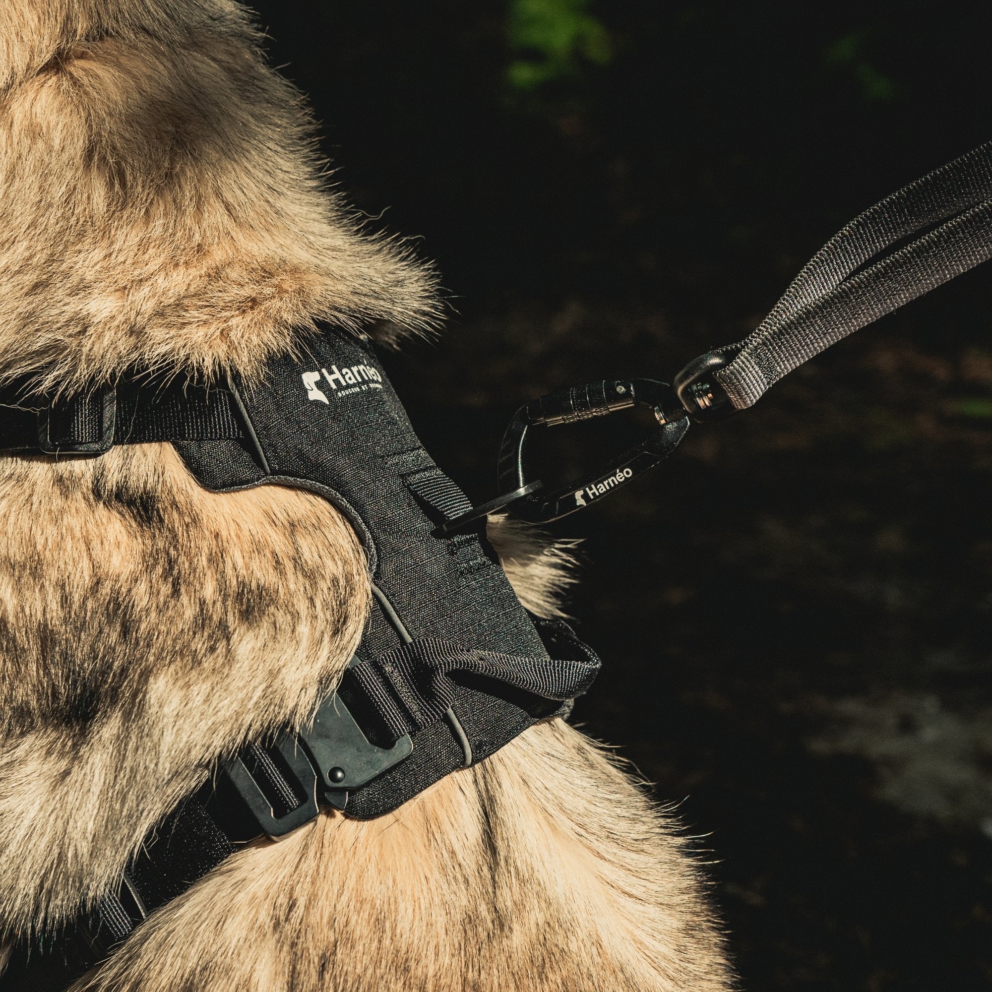 Harnais Anti-Traction Équinoxe