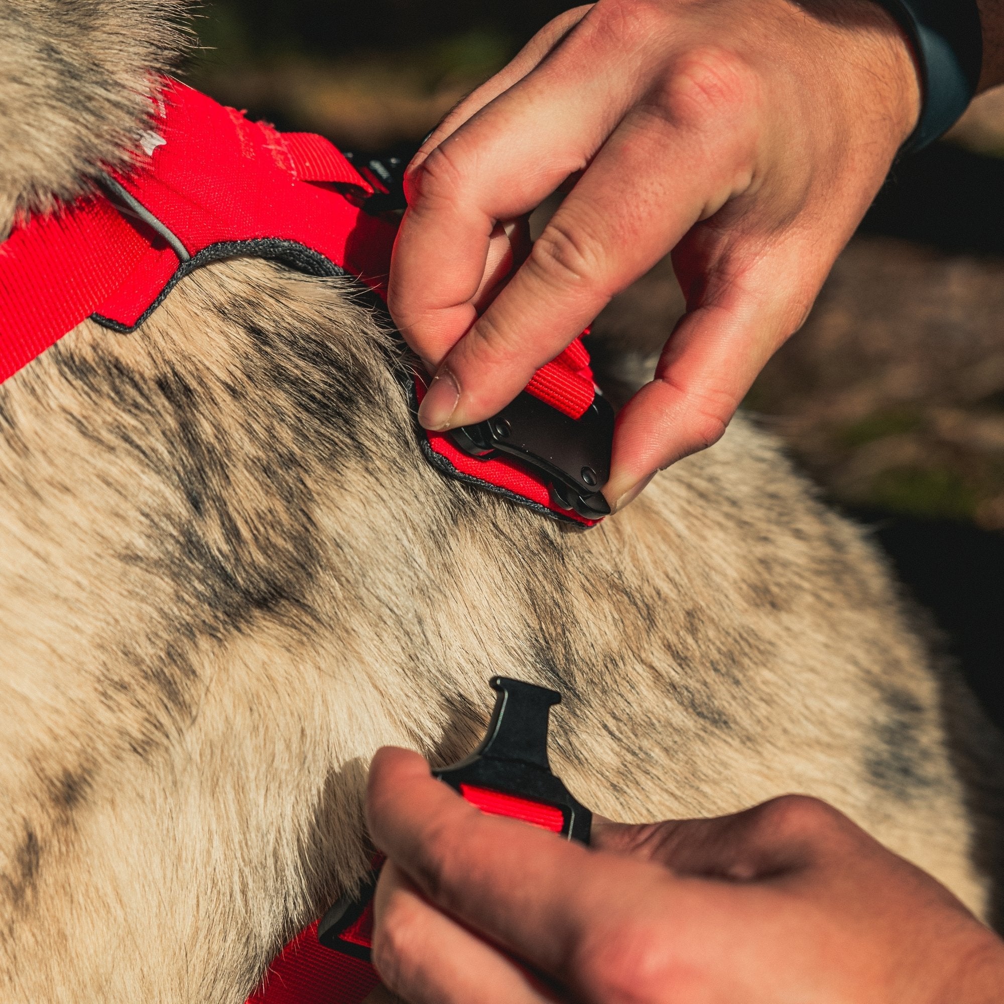 Harnais Anti-Traction Équinoxe