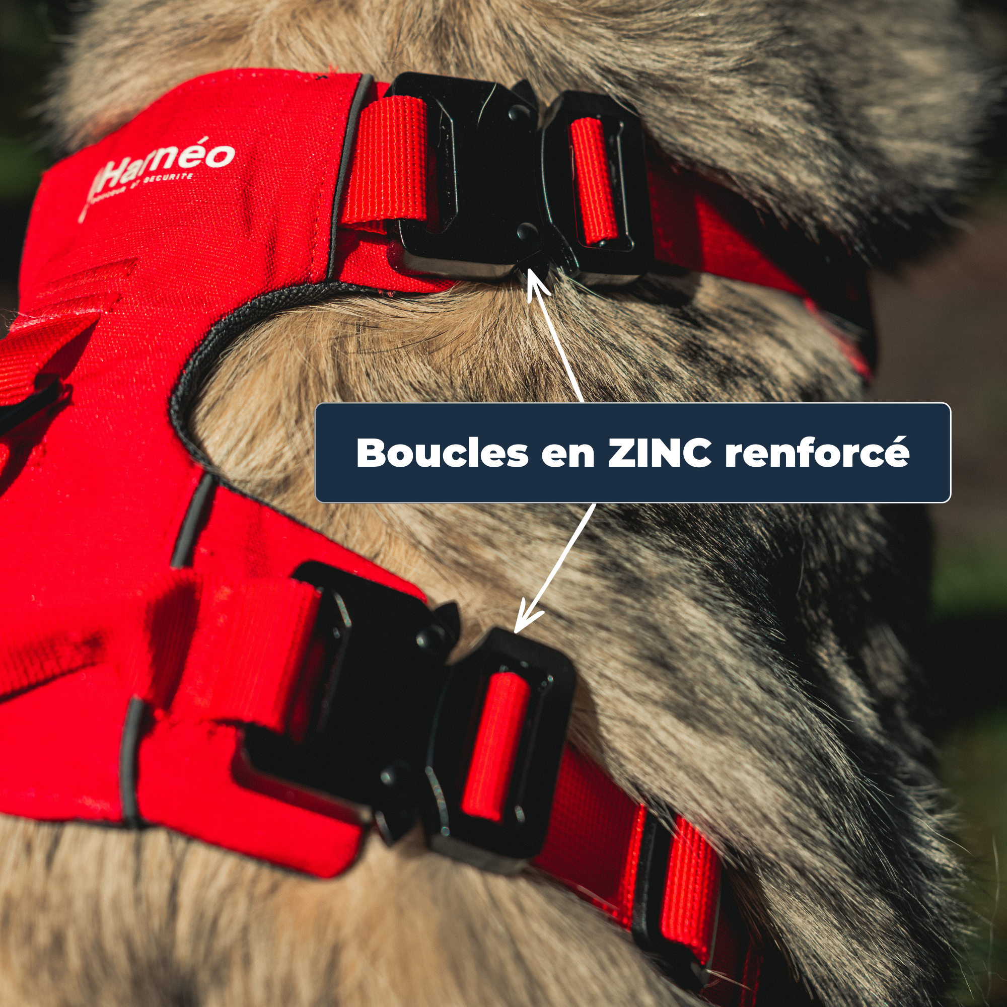 Harnais Anti-Traction Équinoxe