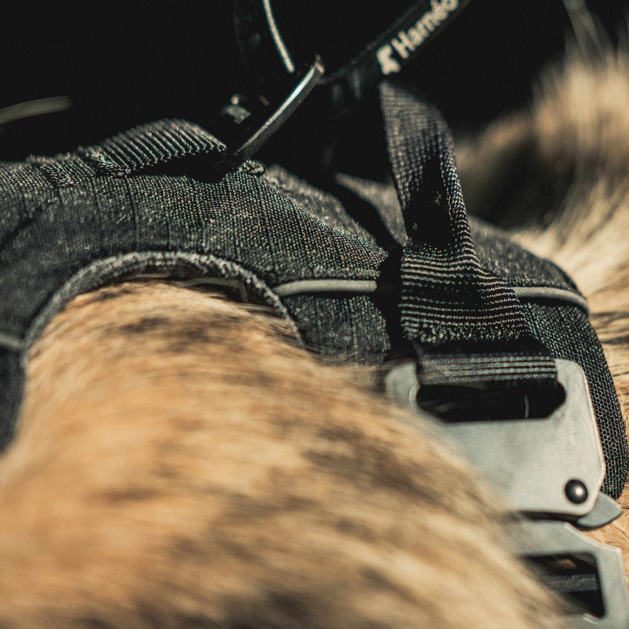 Harnais Anti-Traction Équinoxe