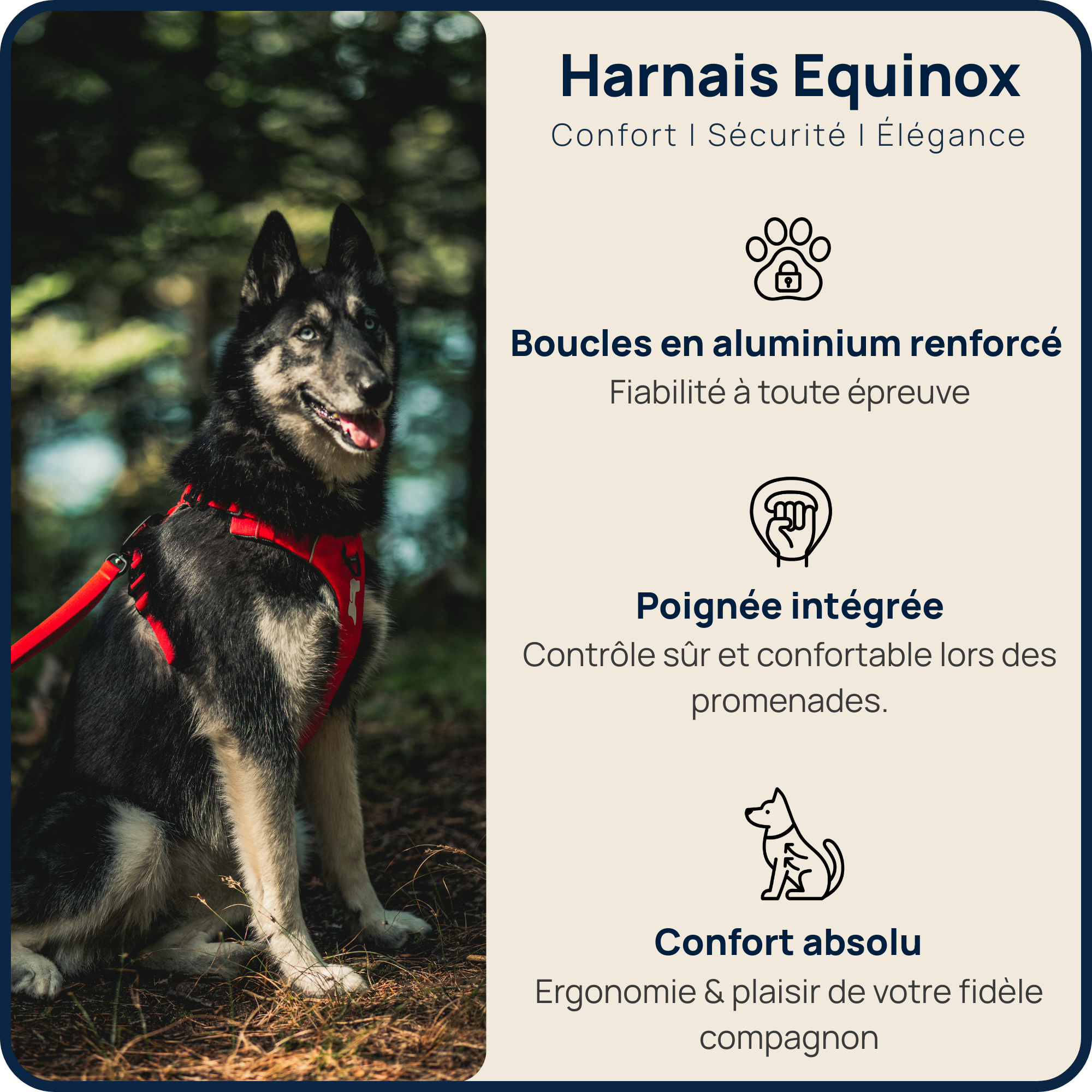 Harnais Anti-Traction Équinoxe