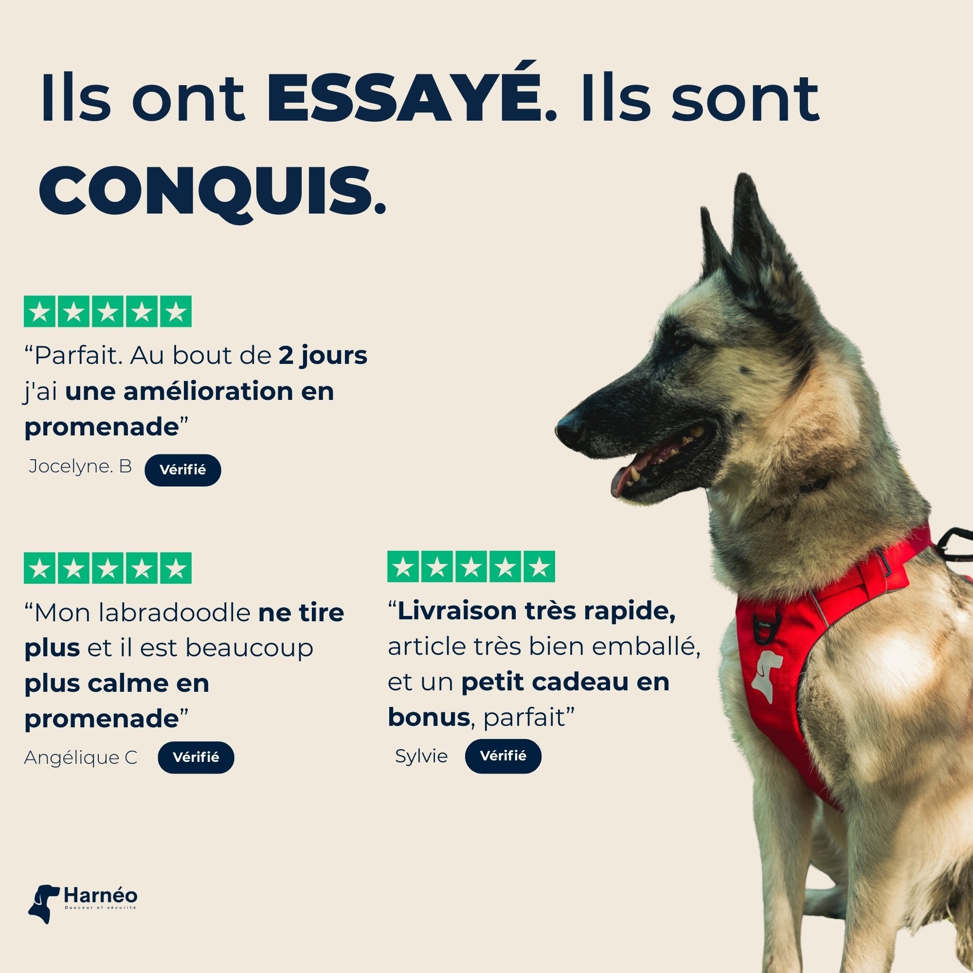 Harnais Anti-Traction Équinoxe