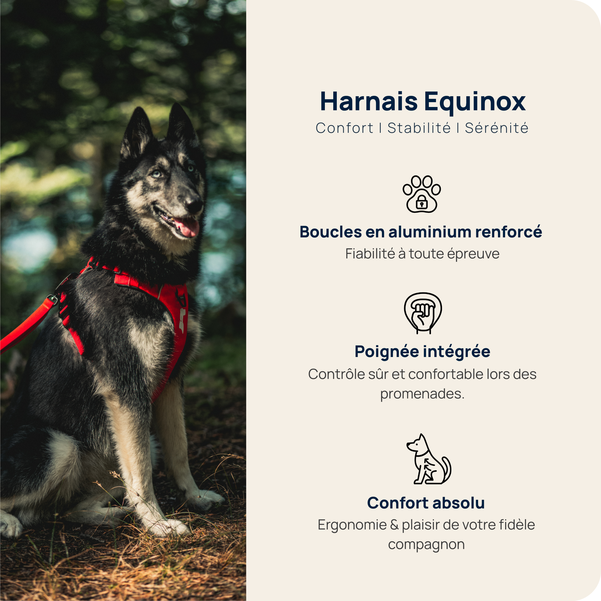 Harnais Anti-Traction Équinoxe