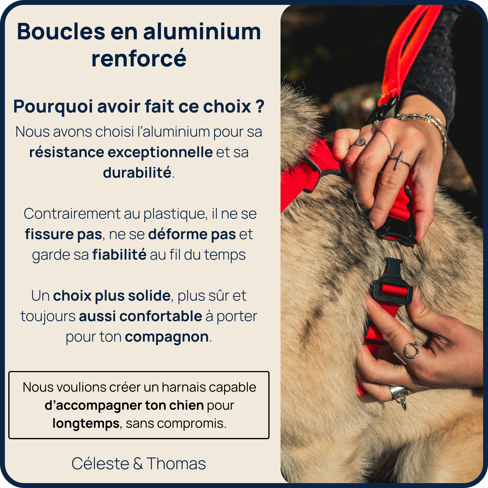 Harnais Anti-Traction Équinoxe