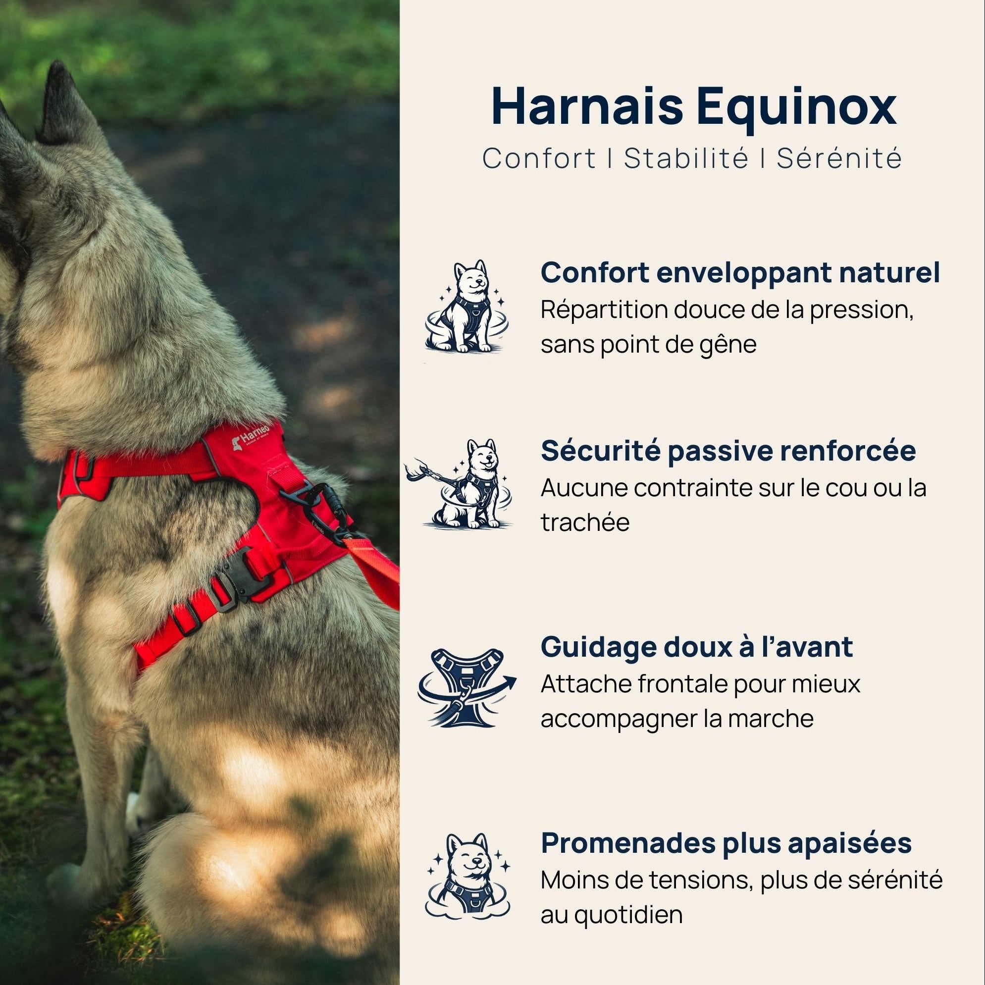 Harnais Anti-Traction Équinoxe