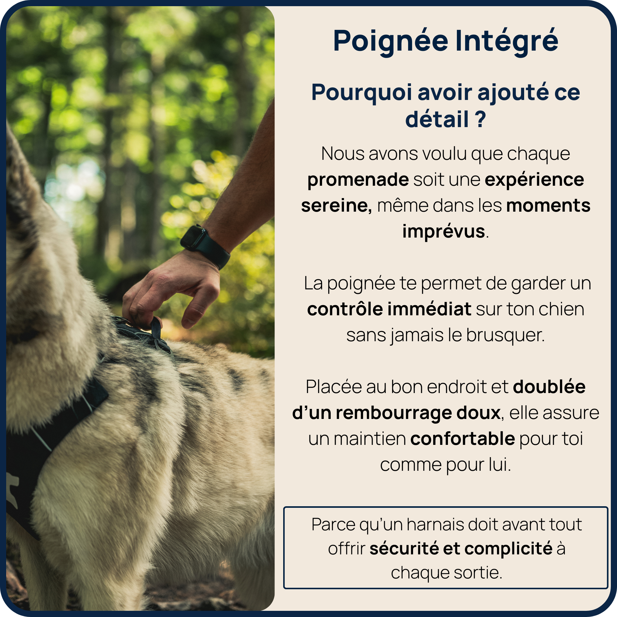 Harnais Anti-Traction Équinoxe