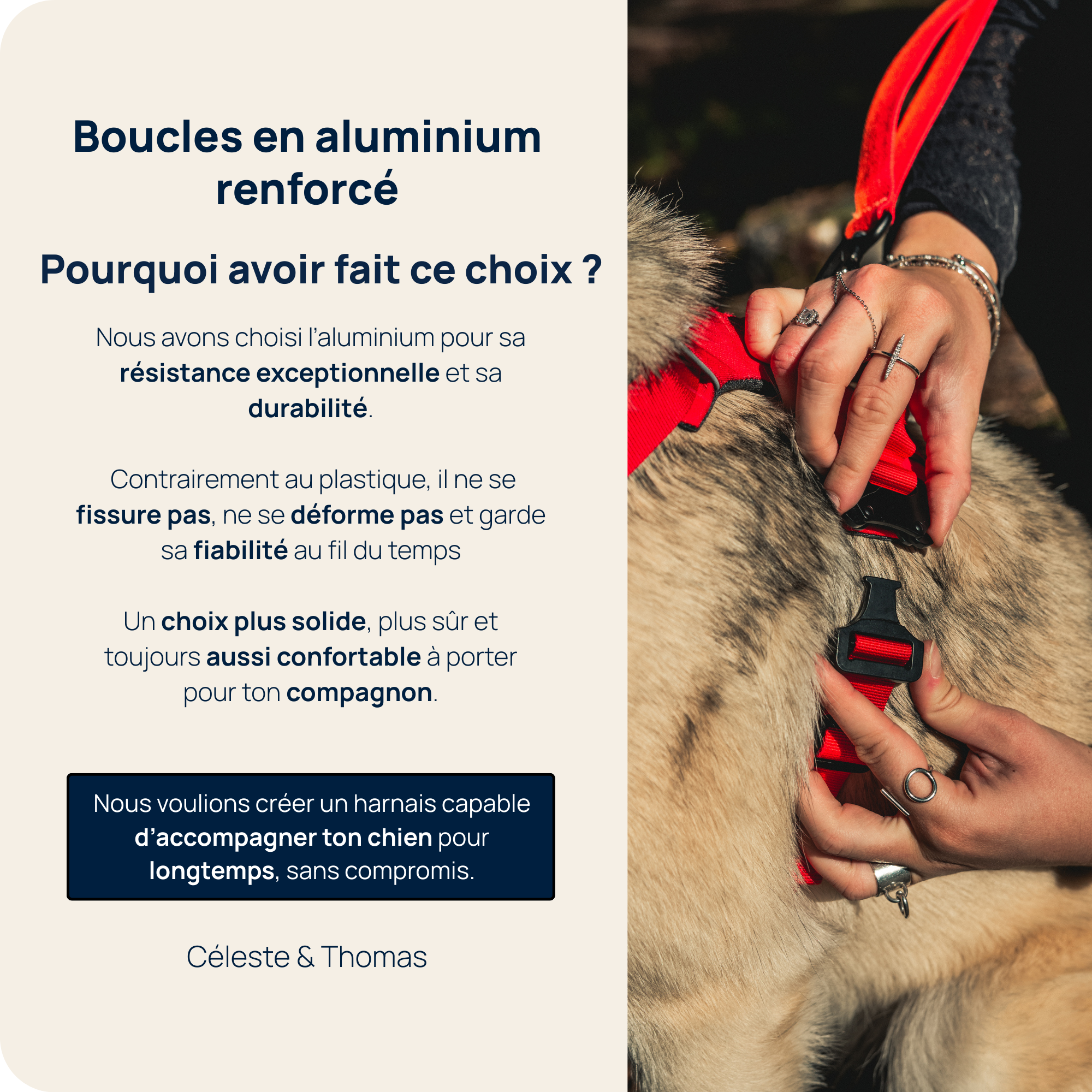 Harnais Anti-Traction Équinoxe