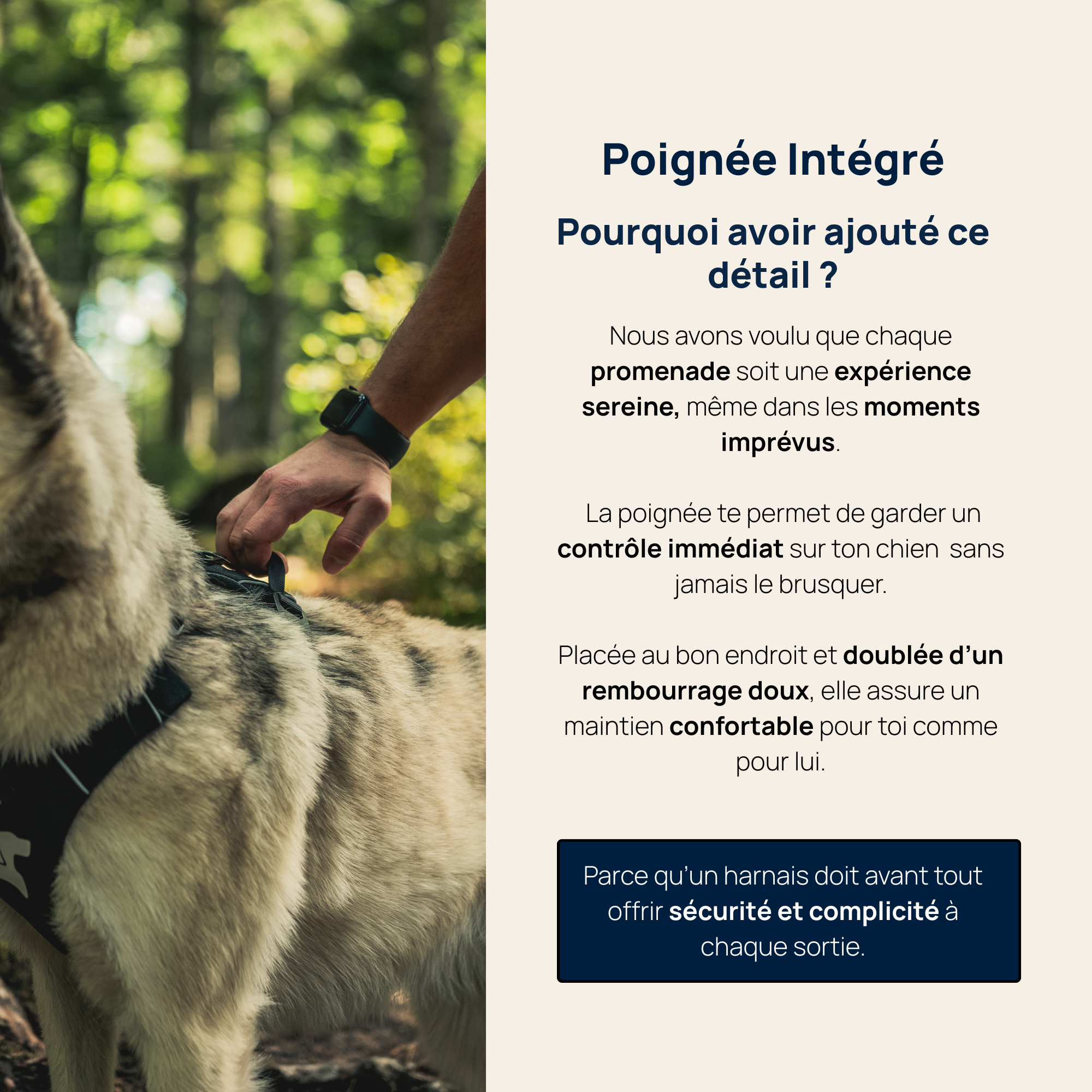 Harnais Anti-Traction Équinoxe