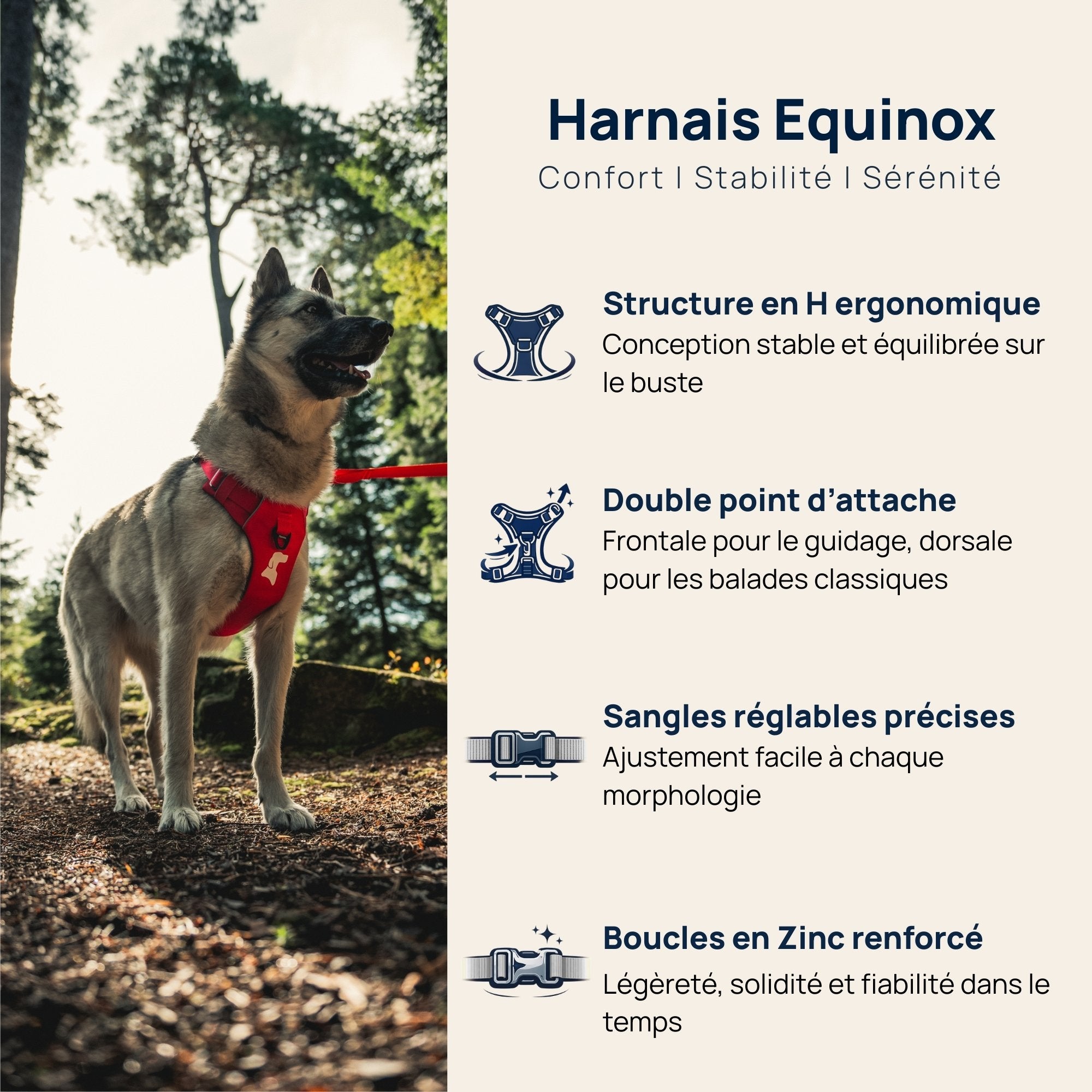 Harnais Anti-Traction Équinoxe