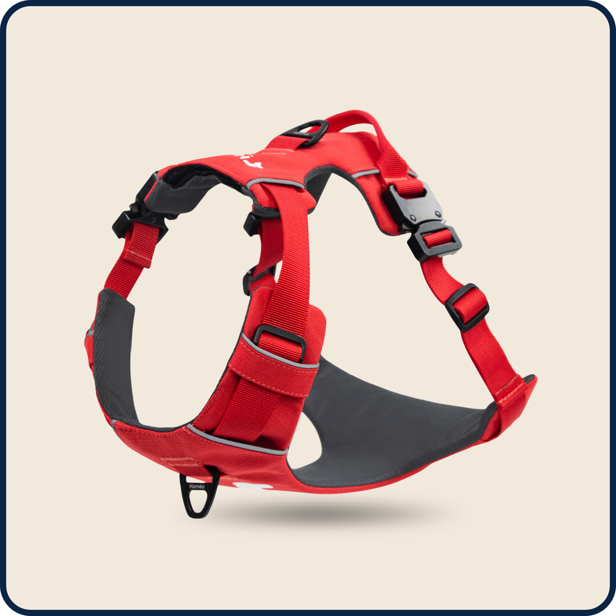 Harnais Anti-Traction Équinoxe