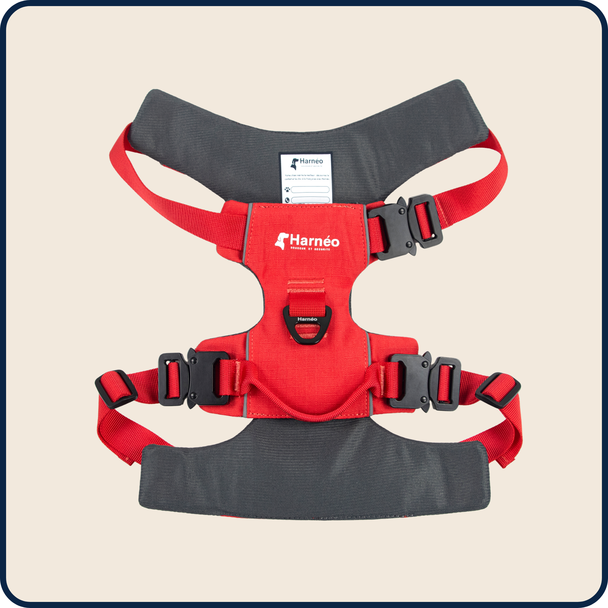 Harnais Anti-Traction Équinoxe