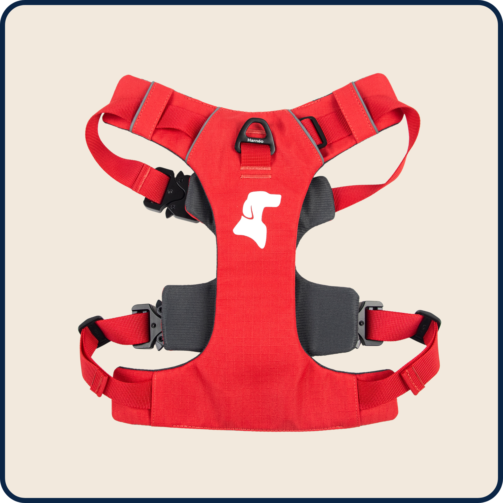 Harnais Anti-Traction Équinoxe