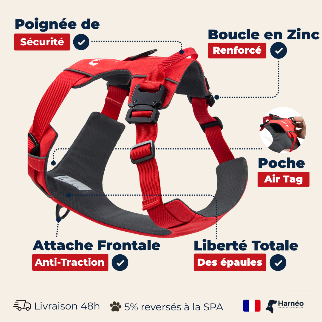 Harnais Anti-Traction Équinoxe