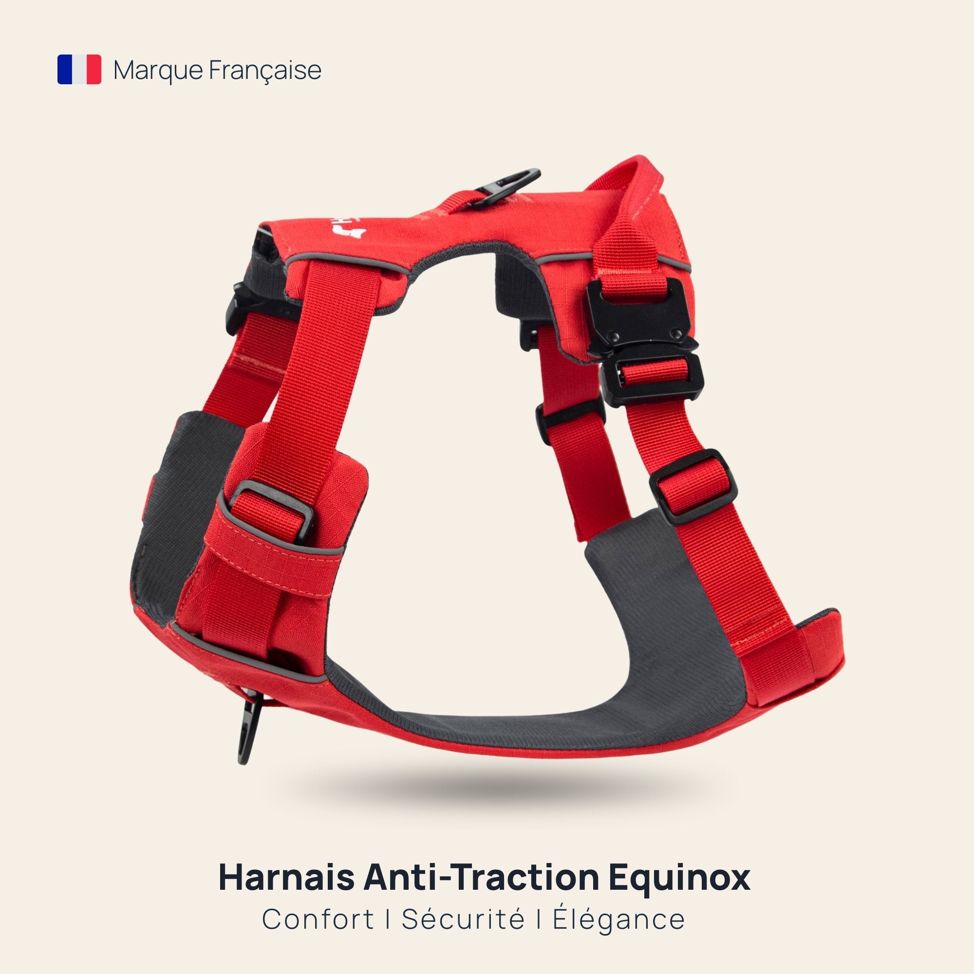 Harnais Anti-Traction Équinoxe