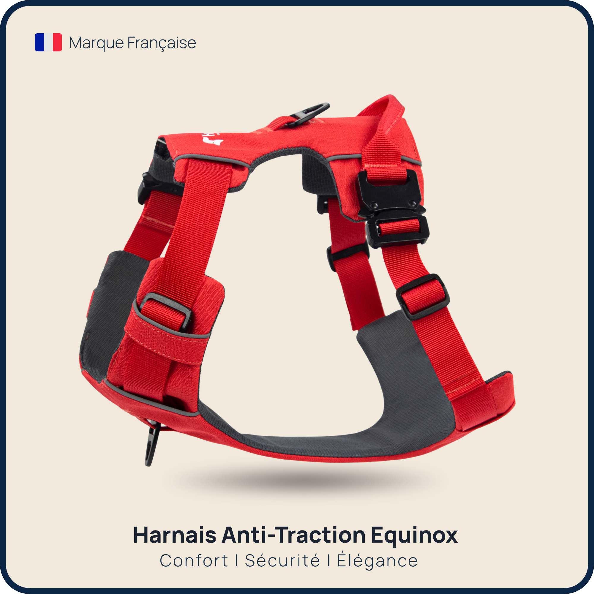 Harnais Anti-Traction Équinoxe