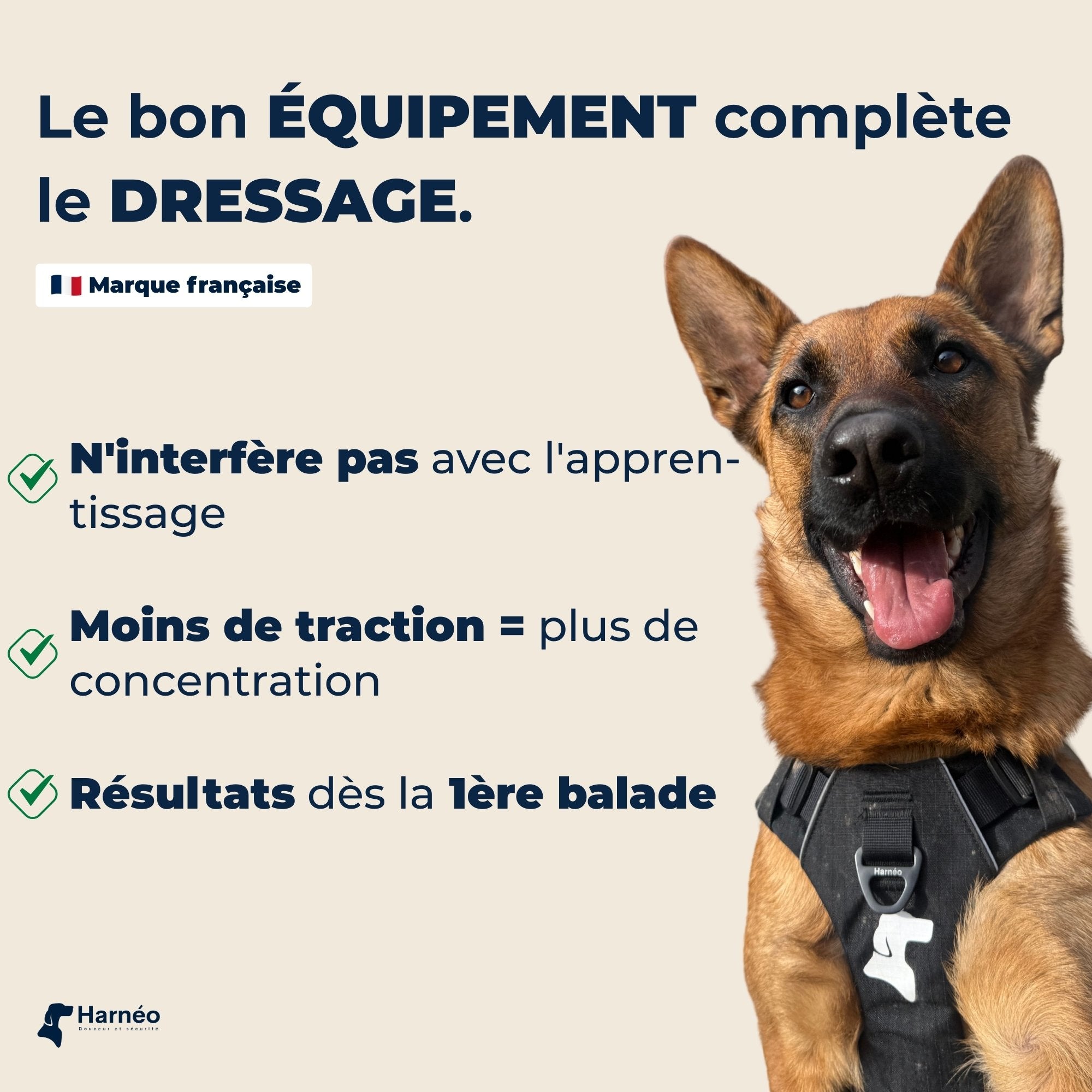 Harnais Anti-Traction Équinoxe