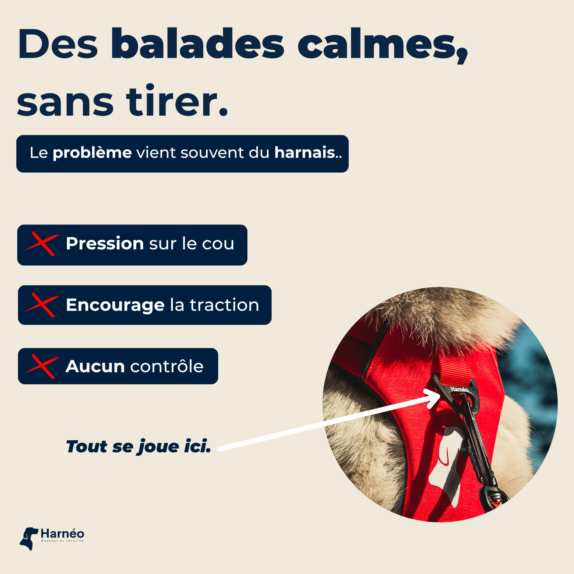 Harnais Anti-Traction Équinoxe