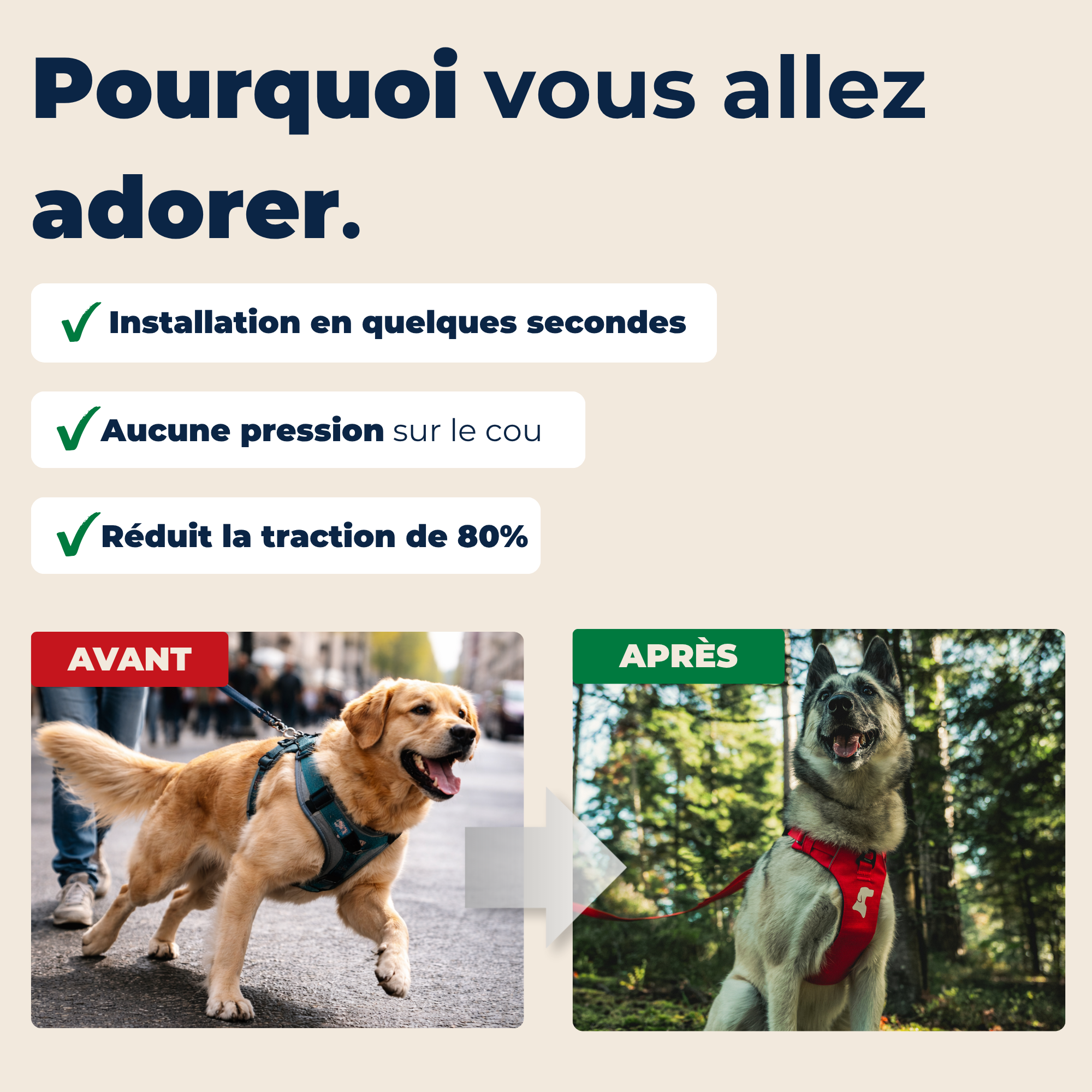 Harnais Anti-Traction Équinoxe