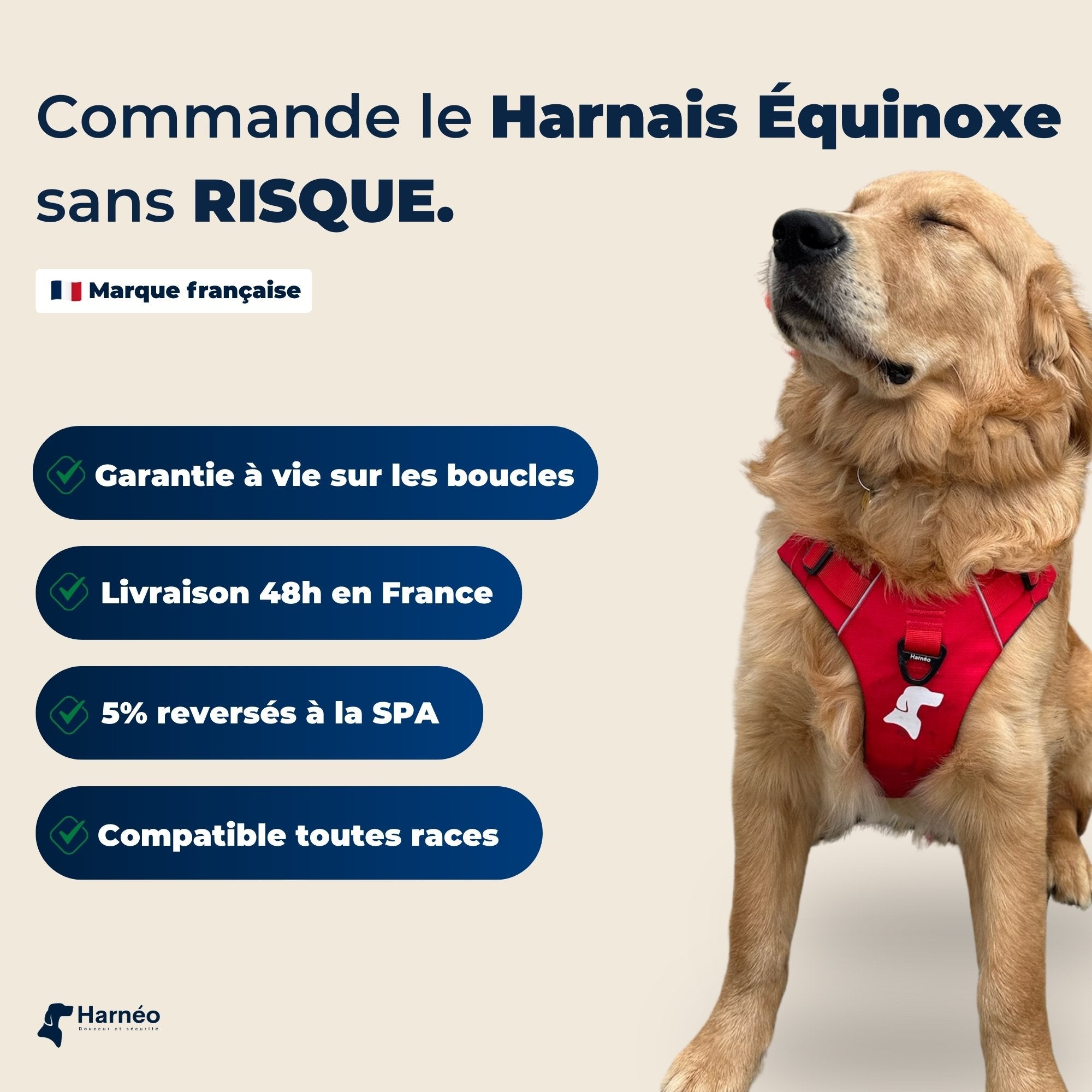 Harnais Anti-Traction Équinoxe