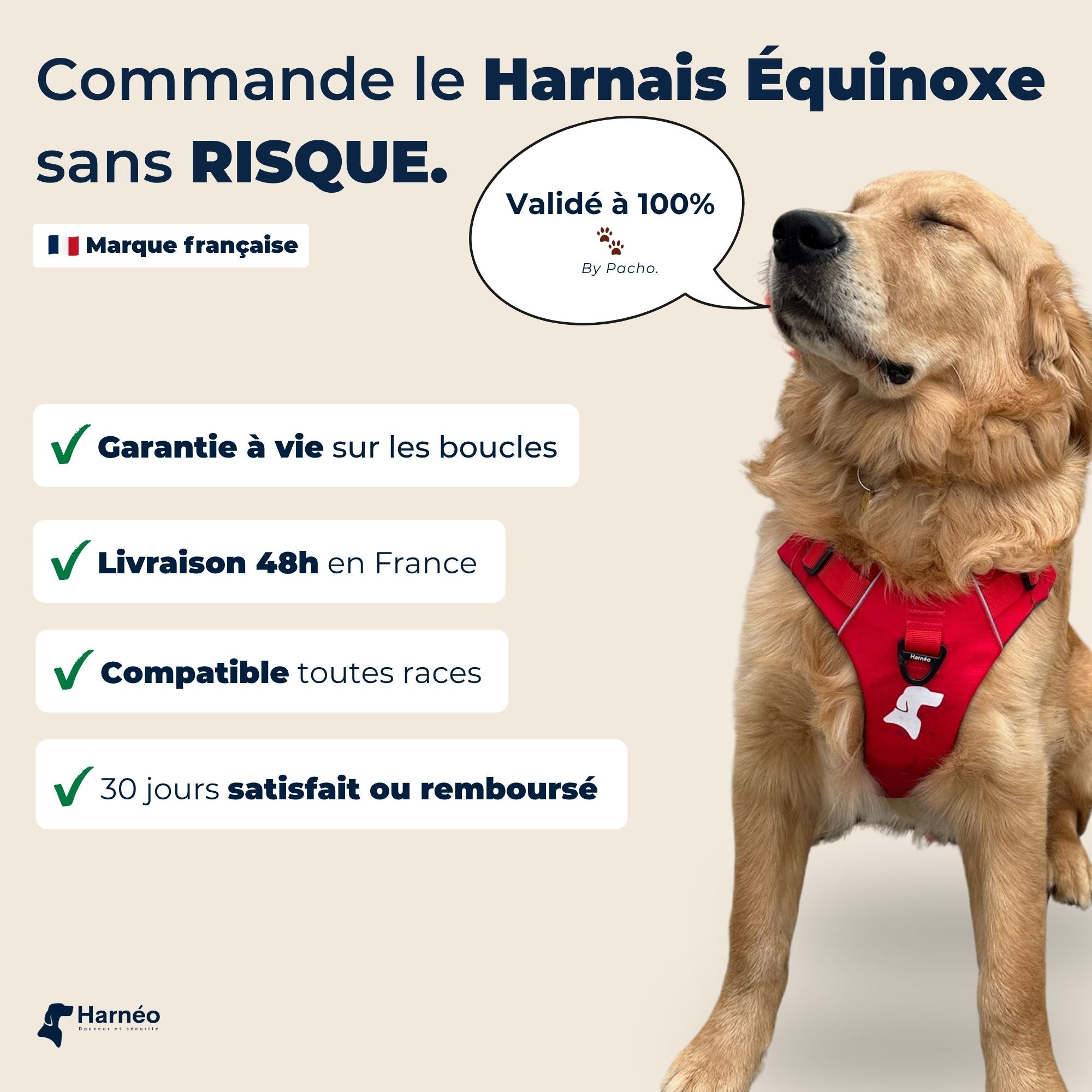 Harnais Anti-Traction Équinoxe