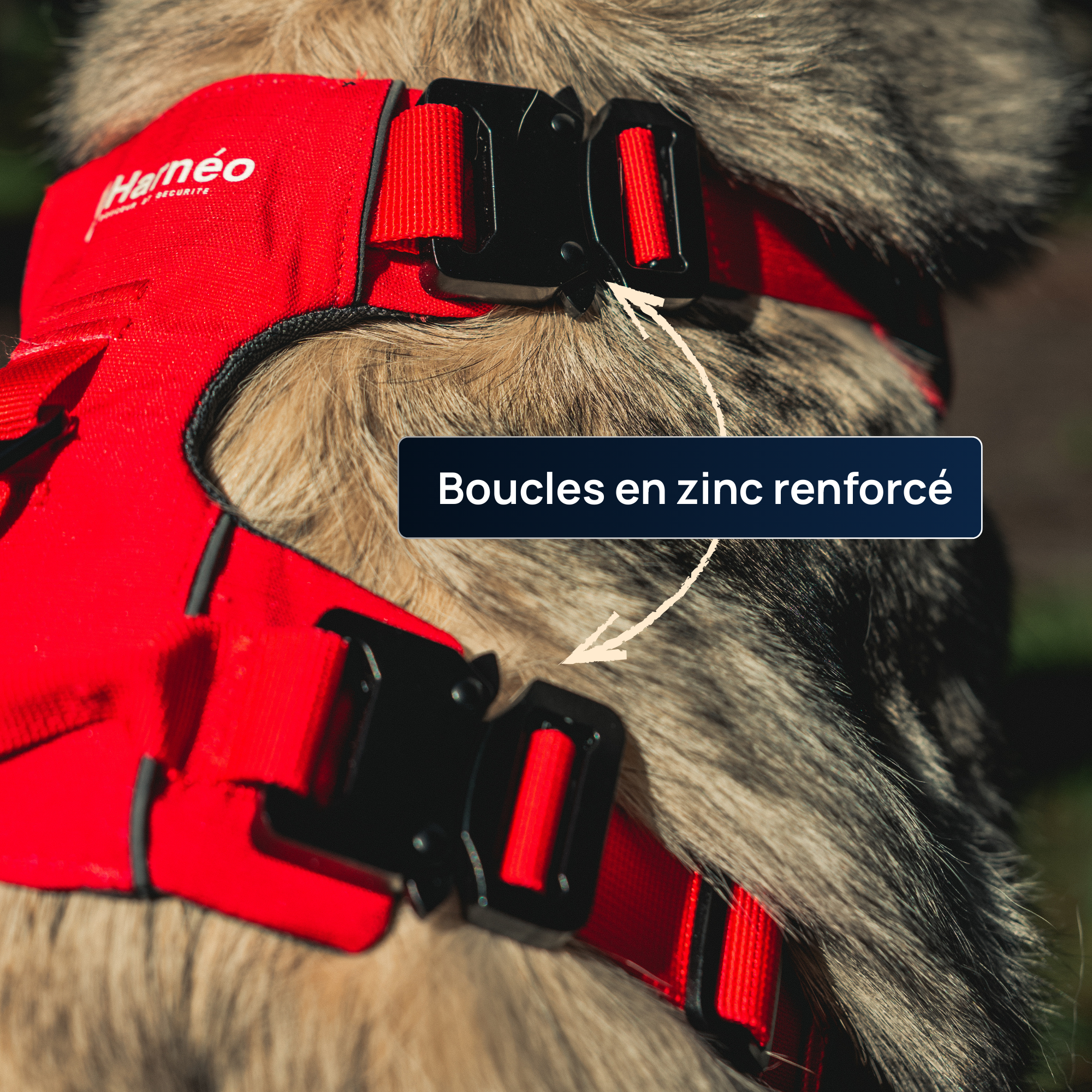 Harnais Anti-Traction Équinoxe